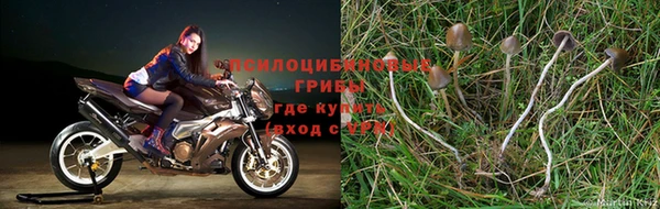 ешки Майский